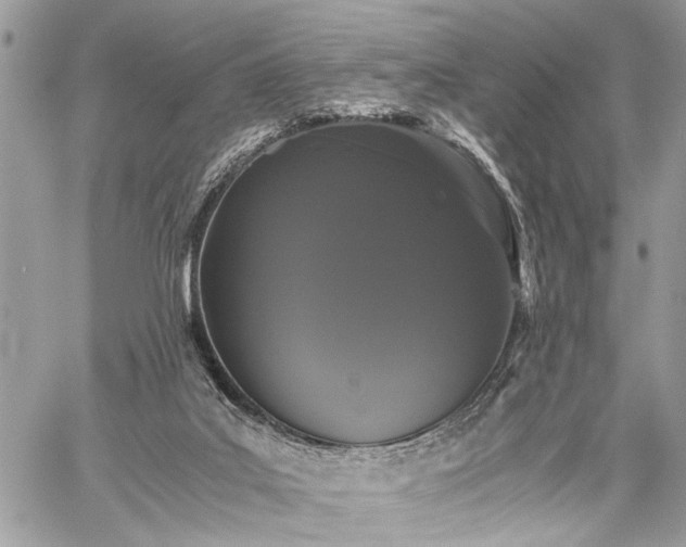 X0000059800019200510211103