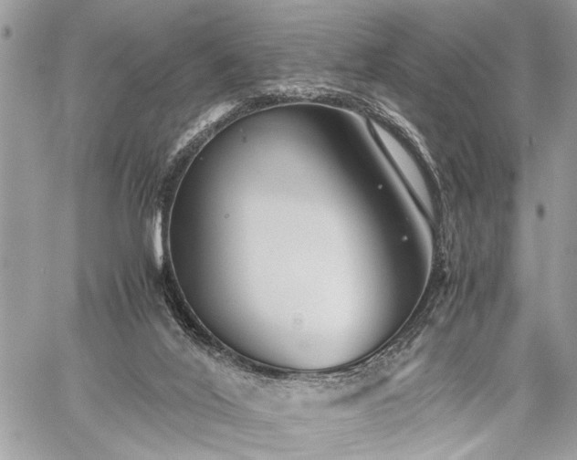 X0000059800020200510211103