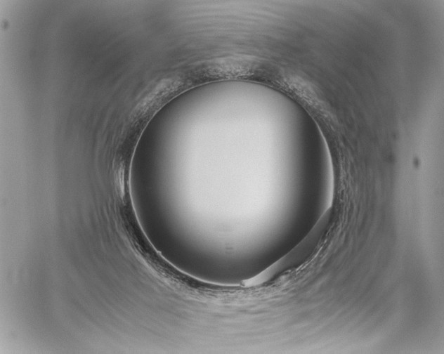 X0000059800021200510211103