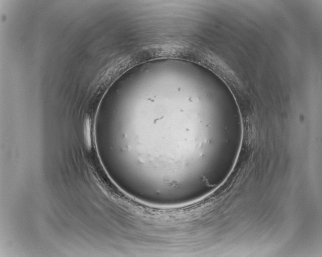 X0000059800022200510211103