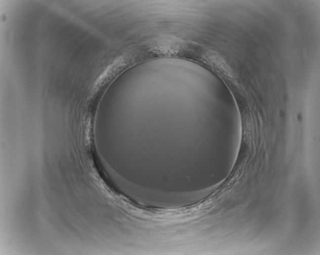 X0000059800023200510211103