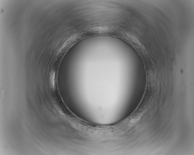 X0000059800024200510211103