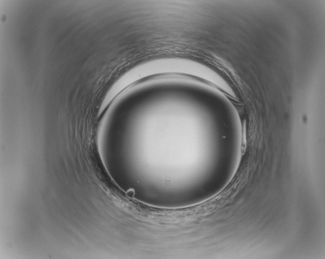 X0000059800025200510211103