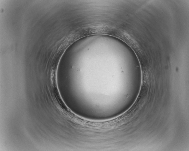 X0000059800026200510211103