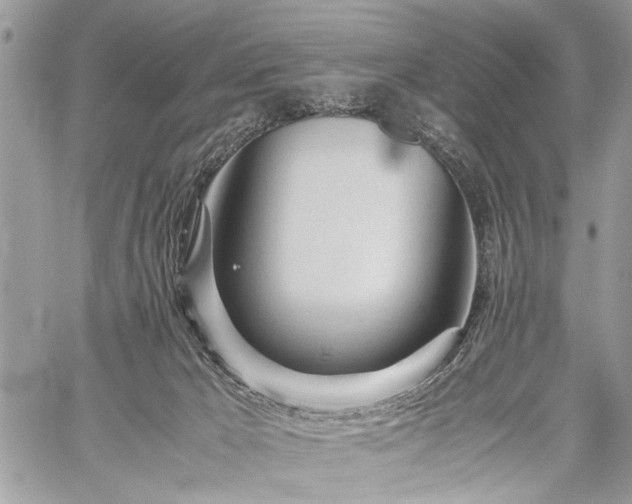 X0000059800029200510211103