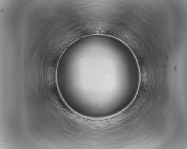 X0000059800030200510211103