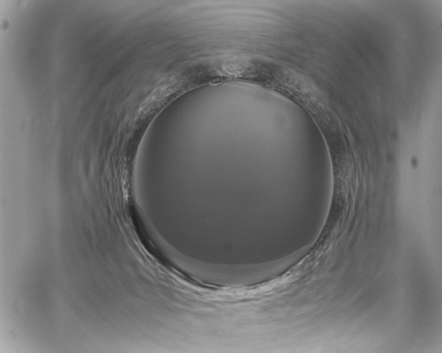 X0000059800031200510211103