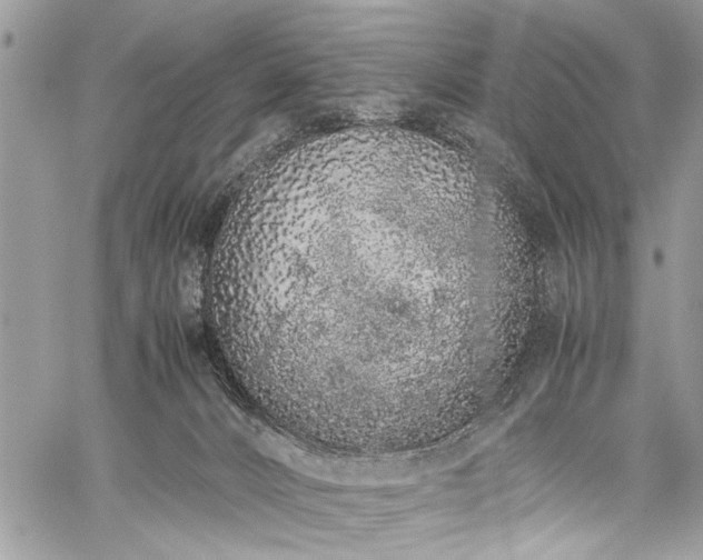 X0000059800032200510211103