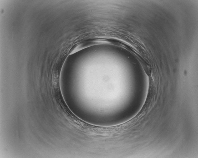 X0000059800033200510211103