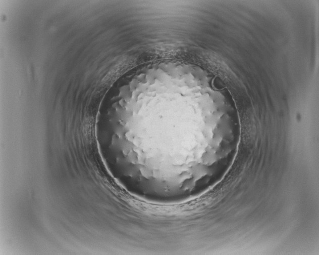 X0000059800034200510211103