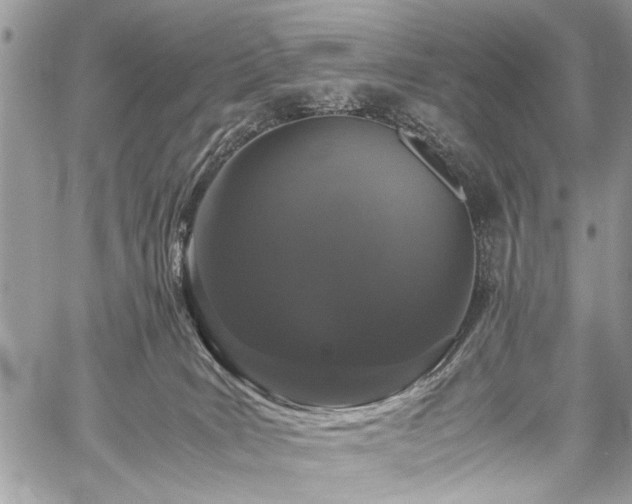 X0000059800035200510211103