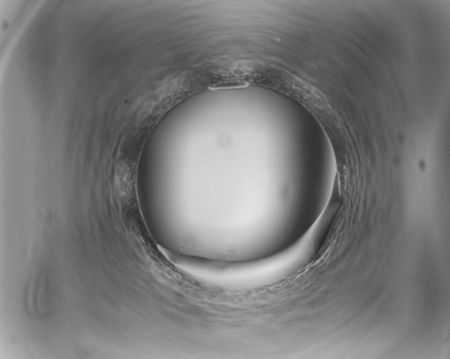 X0000059800037200510211103