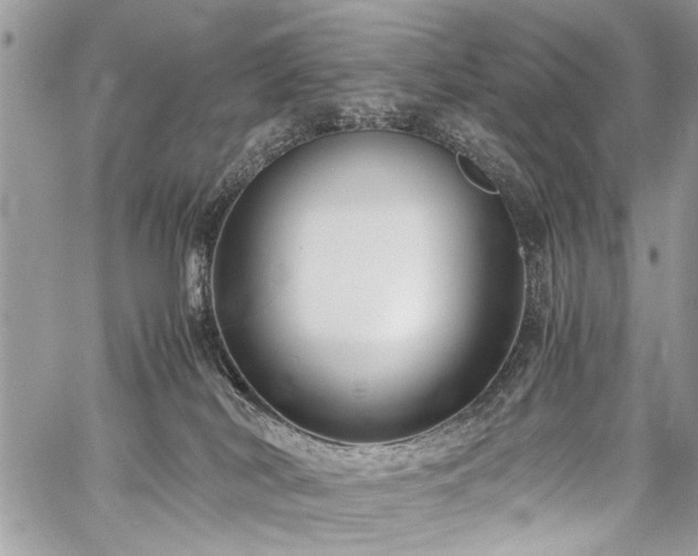 X0000059800038200510211103