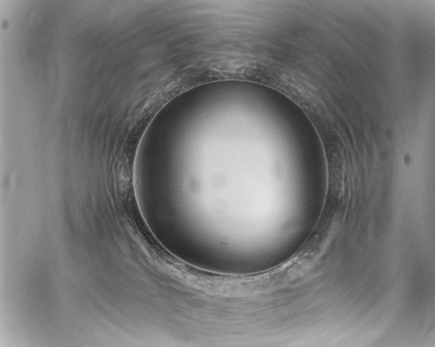 X0000059800040200510211103