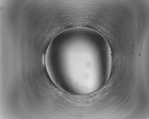 X0000059800041200510211103