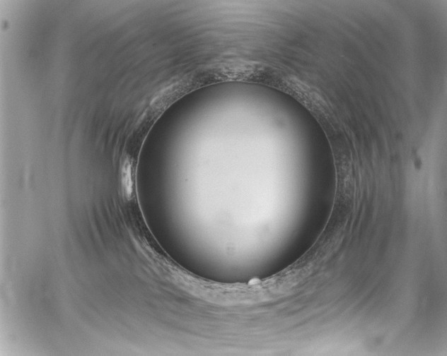 X0000059800042200510211103