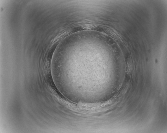 X0000059800043200510211103