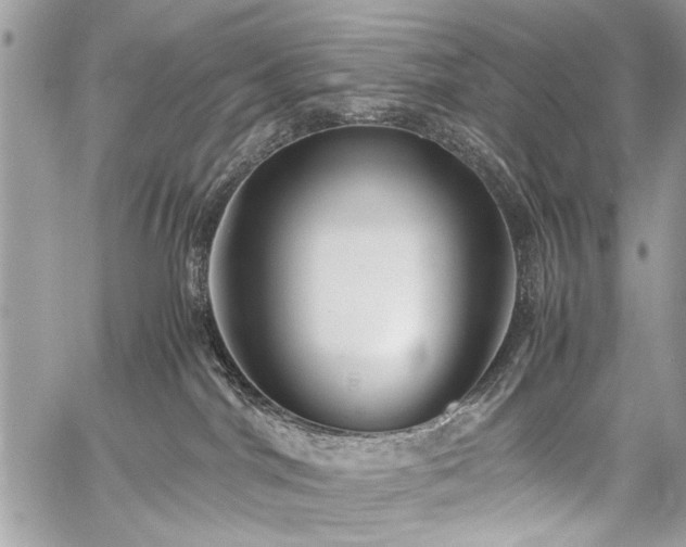 X0000059800044200510211103