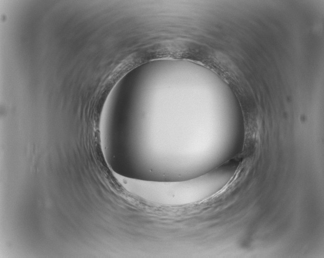 X0000059800045200510211103