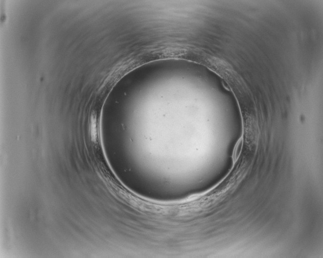 X0000059800046200510211103