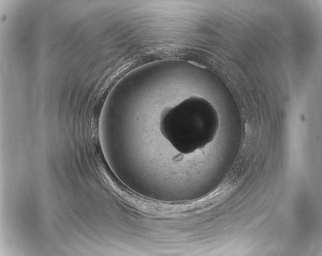 X0000059800048200510211102