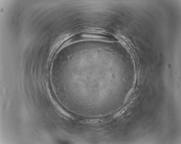 X0000059800049200510211102