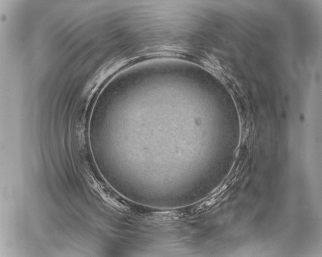 X0000059800050200510211102