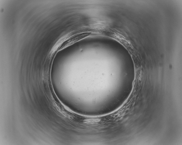 X0000059800051200510211102