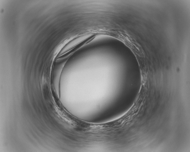 X0000059800052200510211102