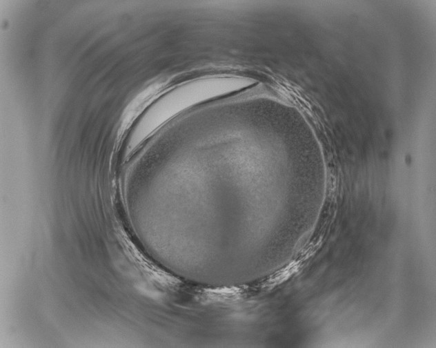 X0000059800053200510211102