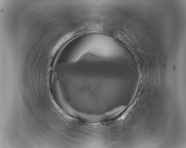 X0000059800054200510211102