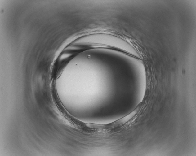 X0000059800056200510211102