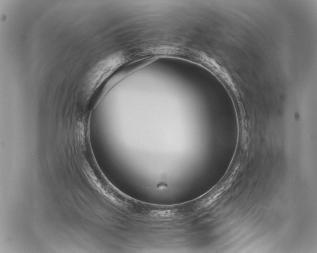 X0000059800057200510211102