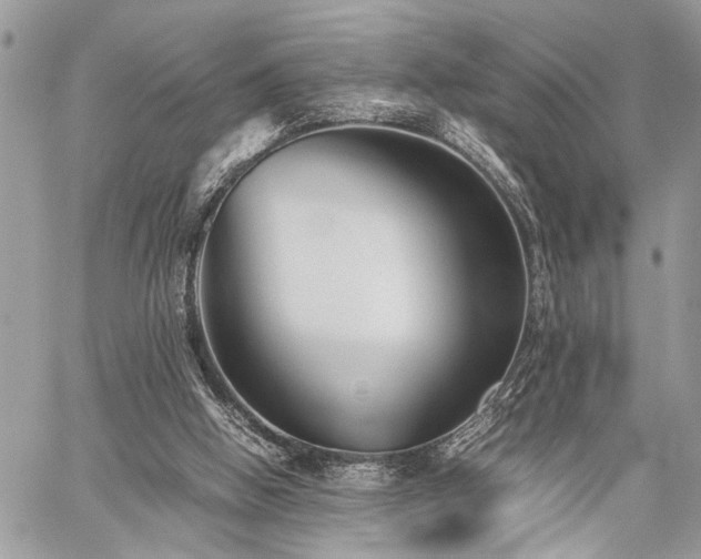 X0000059800058200510211102