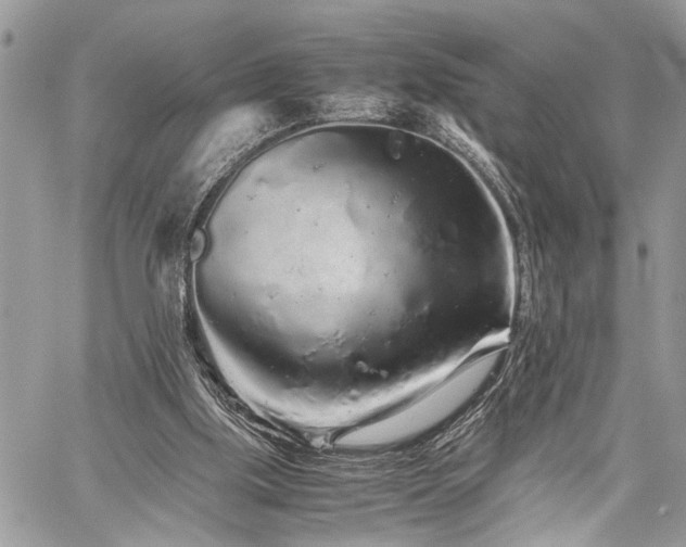 X0000059800059200510211102