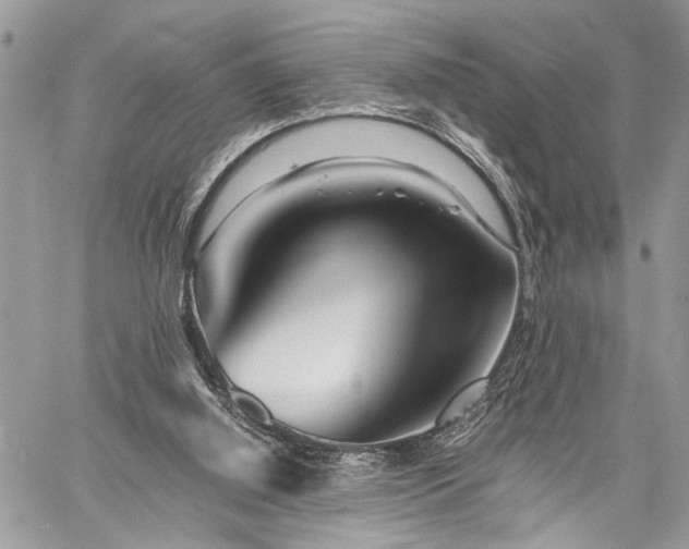 X0000059800060200510211102