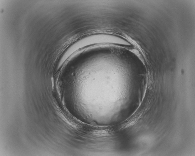 X0000059800061200510211102