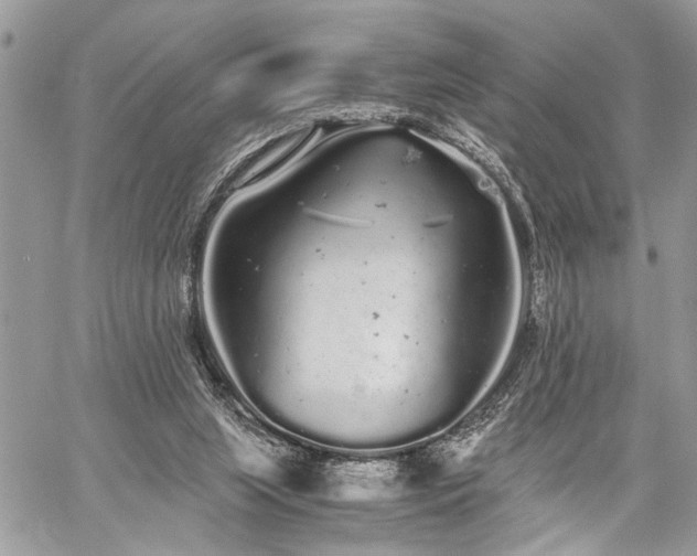 X0000059800063200510211102