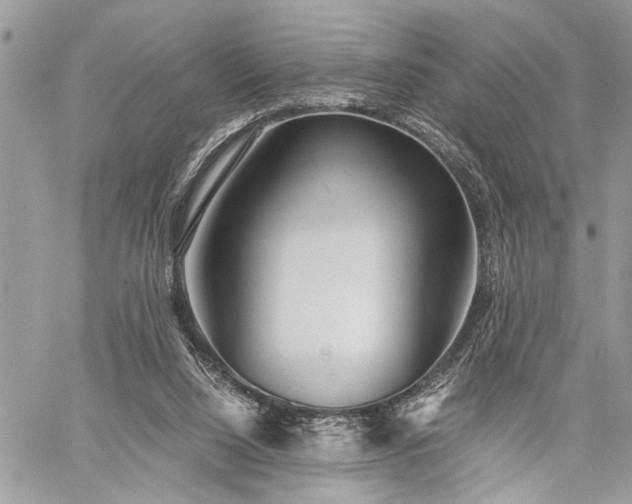 X0000059800064200510211102