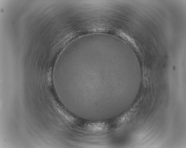 X0000059800065200510211102