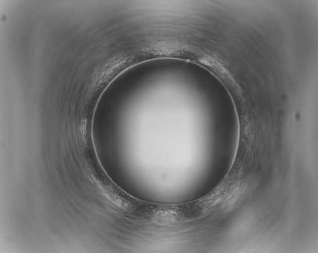 X0000059800066200510211102