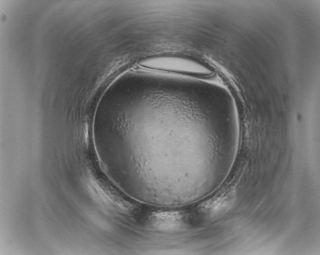 X0000059800067200510211102