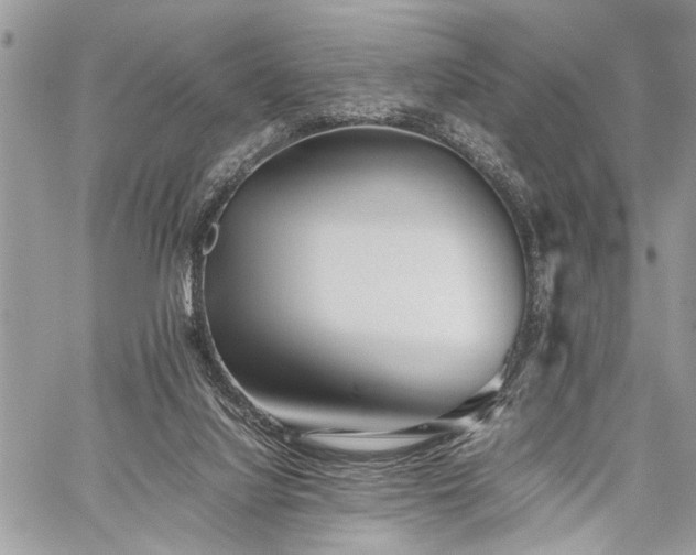 X0000059800068200510211102