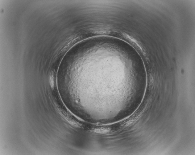 X0000059800069200510211102