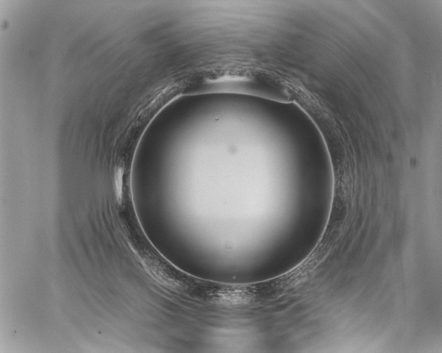 X0000059800070200510211102