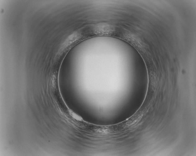 X0000059800071200510211102