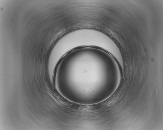 X0000059800072200510211102