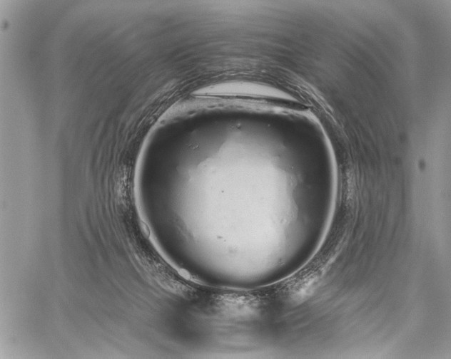 X0000059800073200510211102