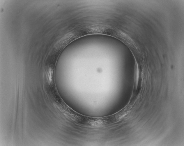 X0000059800075200510211102