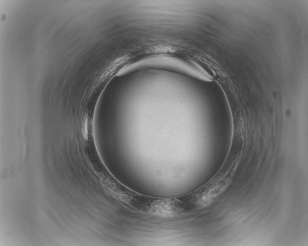 X0000059800076200510211102